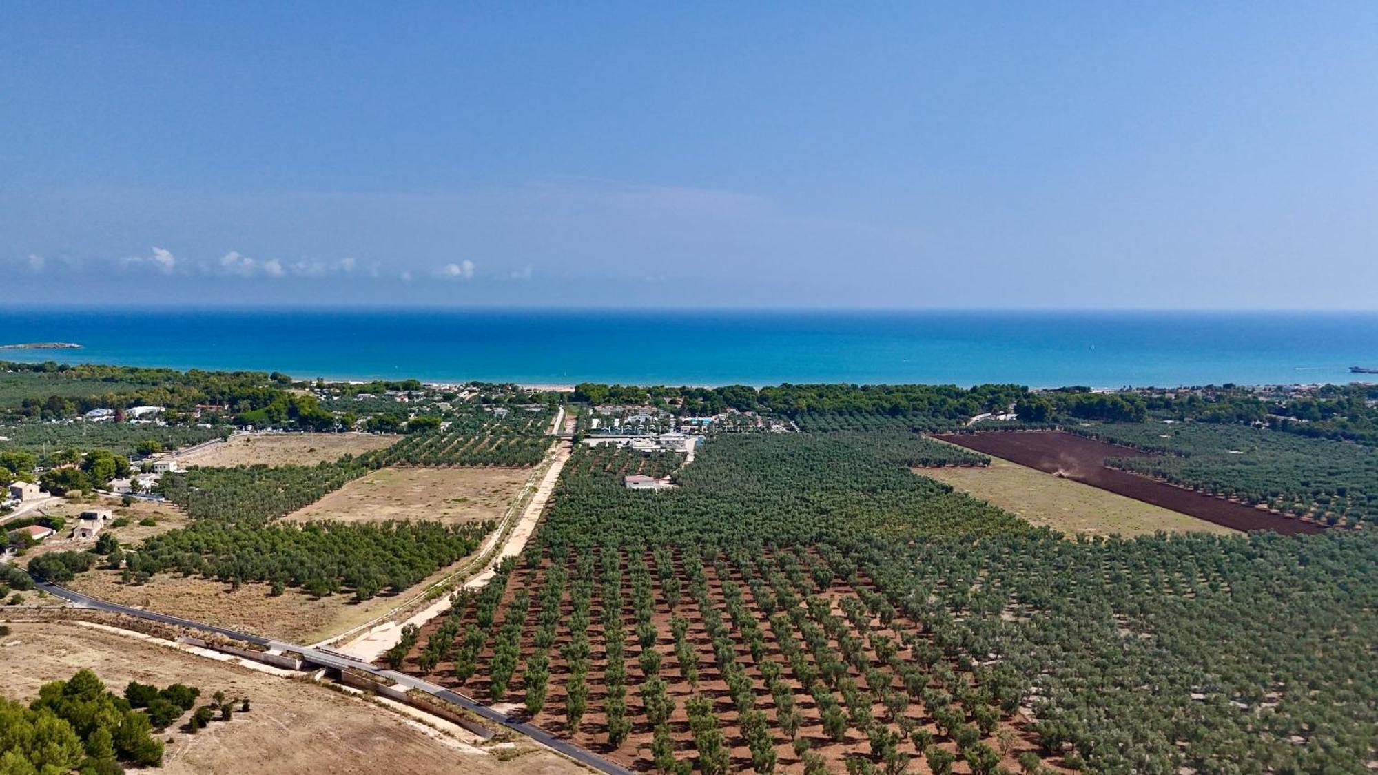Villa Amica 维耶斯泰 外观 照片
